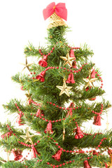 Isolated Christmas tree