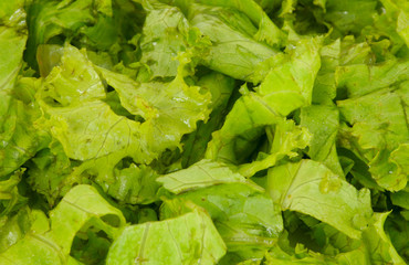 lettuce leaves