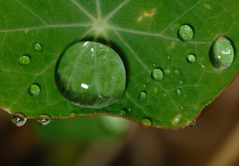 Lotus effect, Lotuseffekt