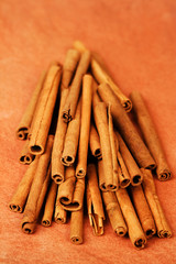 Colors of nature. Cinnamon sticks