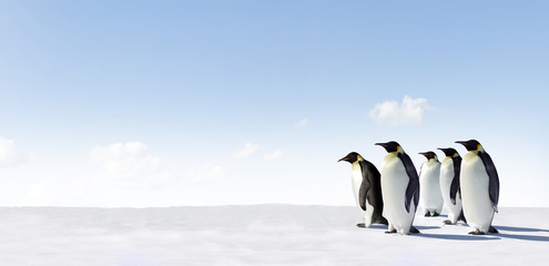 Obraz premium Emperor Penguins