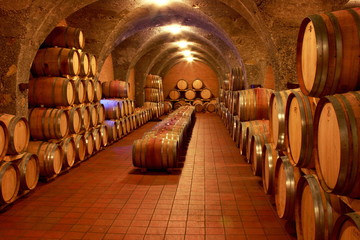 Weinkeller, Eichenfässer, Barrique, Rotwein, Toskana - 10772112