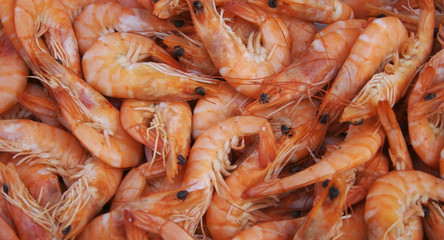 Garnelen,Shrimps