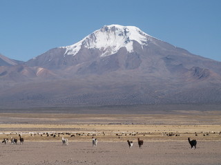 KONICA MINOLTA DIGITAL CAMERA