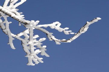 Schnee