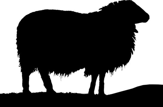 recommend clip art: Sheep Silhouette