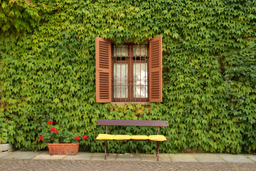 Fototapeta na wymiar Empty bench against wall of ivy, vintage shot of Italian house