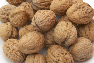 walnut 5