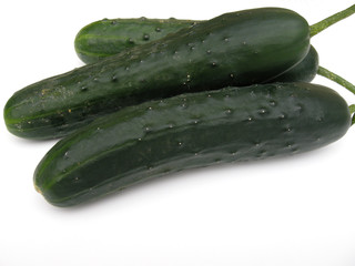 Gurken