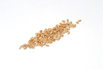 Wheat grains