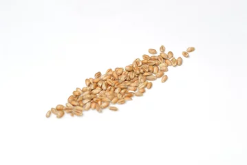 Foto auf Leinwand Wheat grains © Michael M