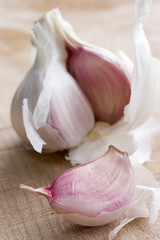 Clove And Bulb Of Garlic