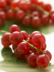 Redcurrants