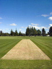 Naklejka premium Cricket pitch in the park