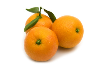 fresh three tangerine on white background..