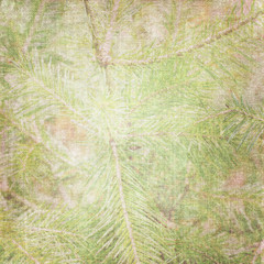 background with fir