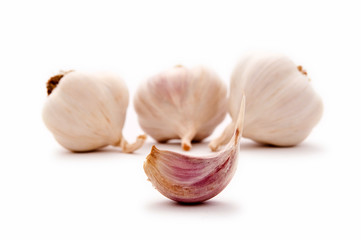 Garlic