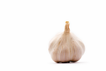 Obraz premium Garlic