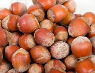 timber nuts,hazelnut