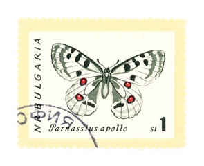 Stamp with butterfly