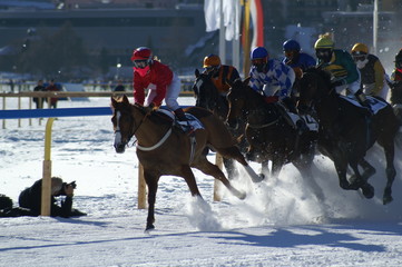 White Turf 8