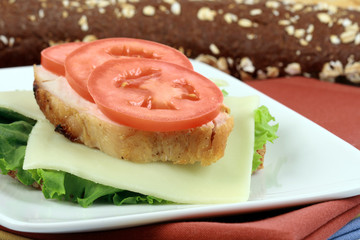 sandwich  with oven roasted turkey