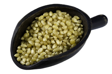 scoop of corn kernels
