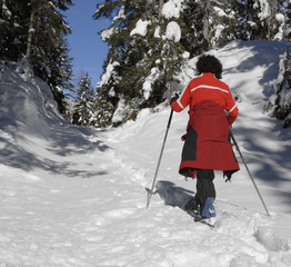 schnee schuh wandern