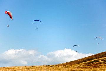 Four gliders