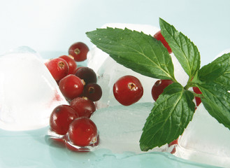 Cranberry and ice