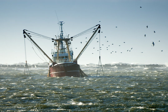 Fototapeta fishing ship