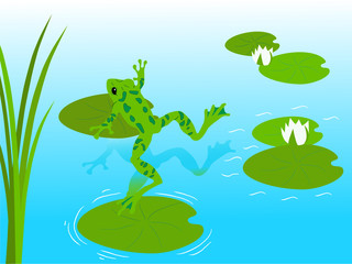 Fototapeta premium frog pond