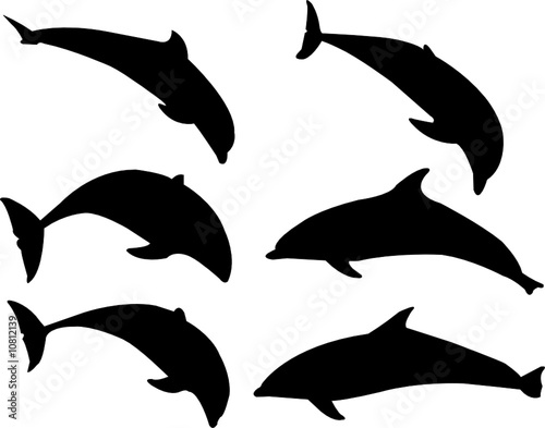"dolphins silhouette collection - vector" Stock image and royalty-free