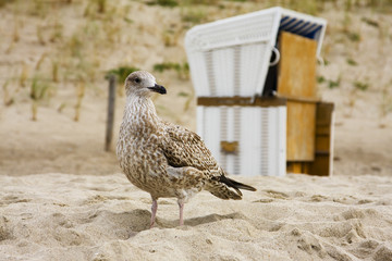 Urlaub an der Ostsee