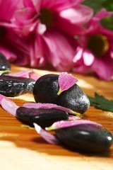 Spa still life