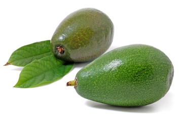 Avocado