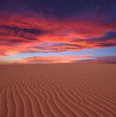 Fotobehang soleil couchant sur le sable du désert © joël BEHR
