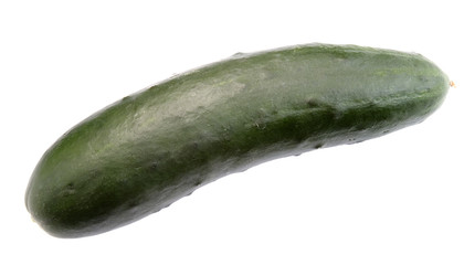 cucumber new 1
