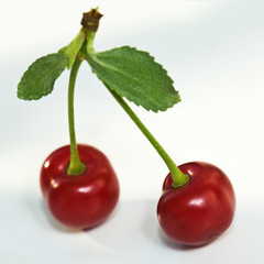 Fresh cherry
