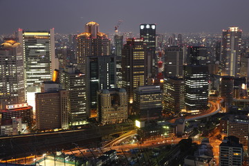 Obraz premium Tokyo panorama at night