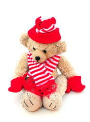 teddy in winter hat and scarf