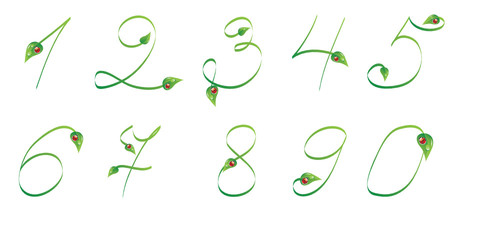 Handwrited text with leaves and ladybug. Numbers from 0 to 9
