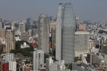 Tokyo panorama