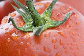 TOMATE