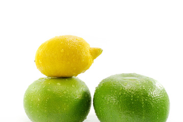 citric fruits