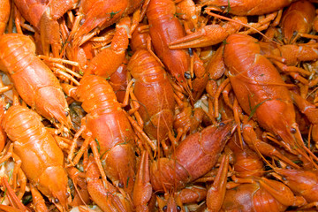 Close-up of prepared crayfishes