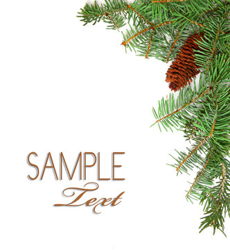 Christmas Rustic Image of Pine Tree Stems and a Pinecone