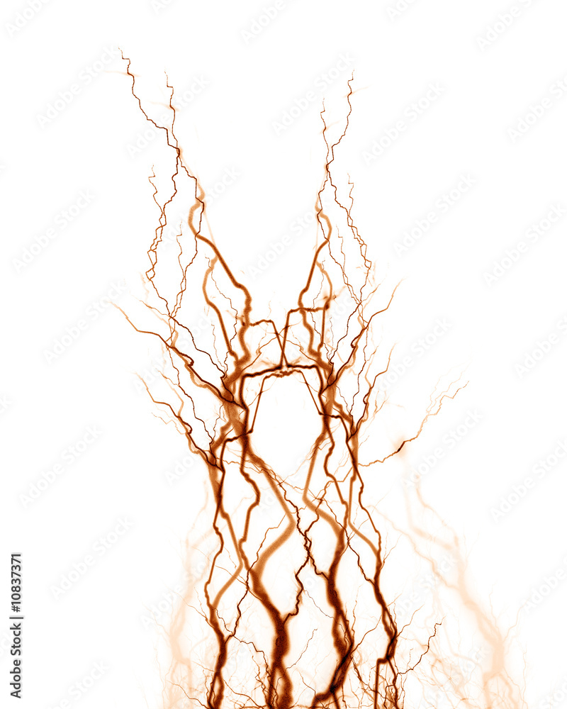 Wall mural human nerve system