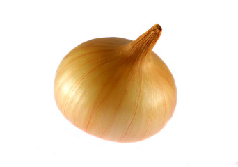 Large onion head isolated on a white background