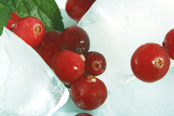 Cranberry and ice
